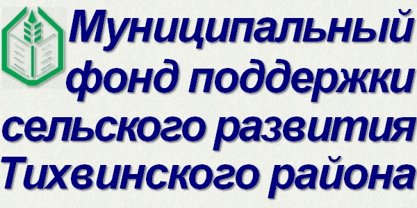 Муниципальный фонд поддержки